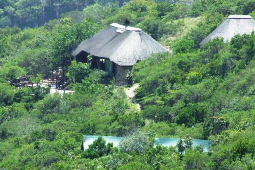 Inkwenkwezi (3)